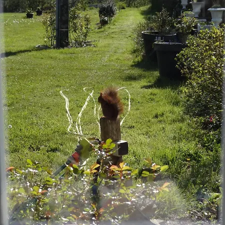 Manoir De La Provosterie ベッド・アンド・ブレックファスト 3*